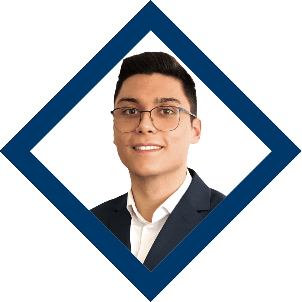 Adrian Nastase Logo-Logivest GmbH